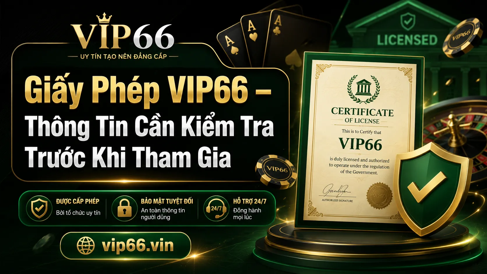 Giấy phép VIP66 là gì