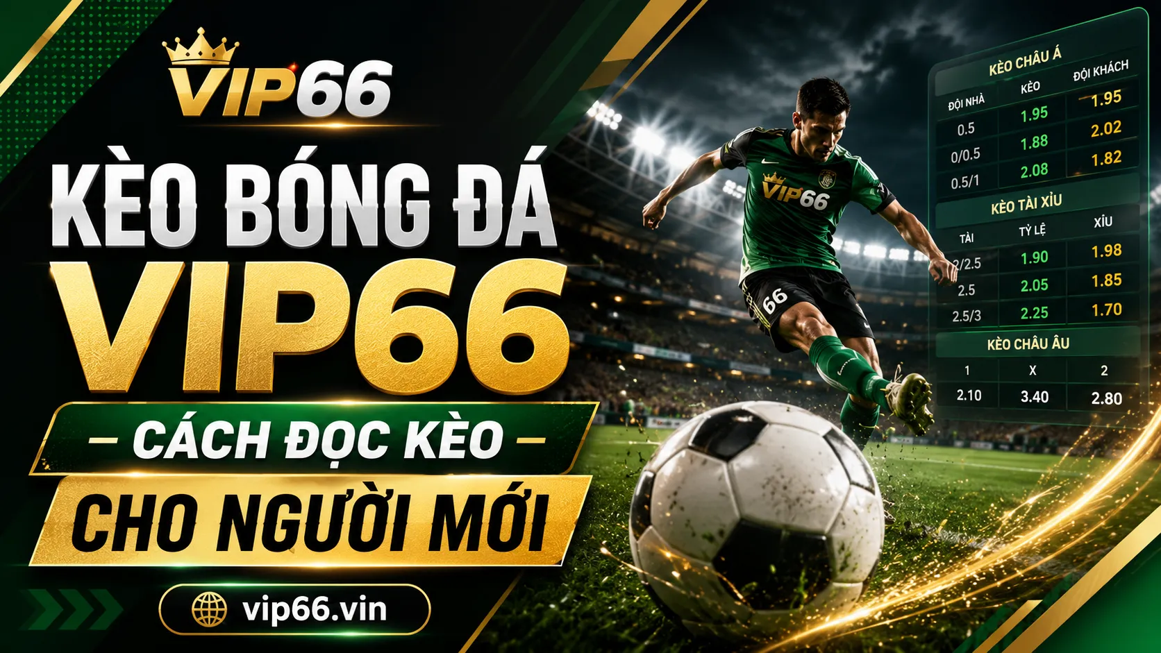 Kèo bóng đá VIP66 là gì